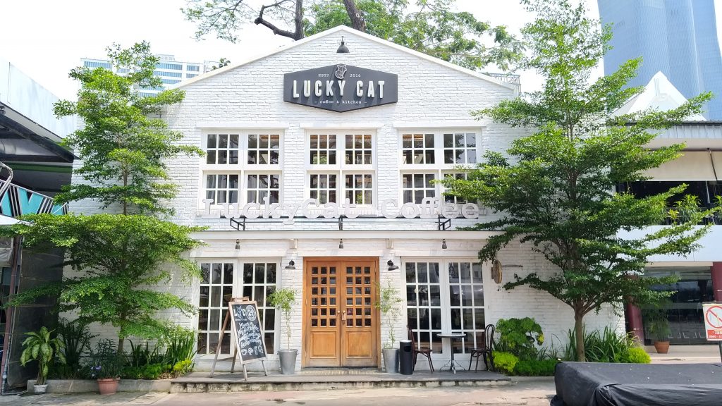 lucky cat coffee and kitchen
